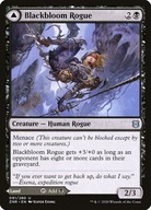 Karta Magic: The Gathering Blackbloom Rogue // Blackbloom Bog ZNR