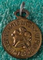 MEDAL ZWIĄZEK KYNOLOGICZNY W POLSCE - WYSTAWA PSÓW OSTRÓW 24V64