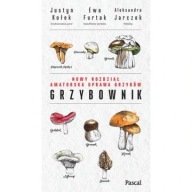 Grzybownik Justyn Kołek, Ewa Furtak, Aleksandra Jarczok ksiazka