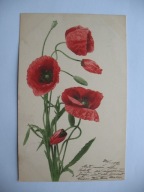 POLNE KWIATY MAKI przedwojenna POCZTÓWKA