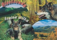 BIESZCZADY - WILK - KRAINA WILKA - SZLAK NA HALICZ - KRZEMIEŃ- PASMO OTRYTU