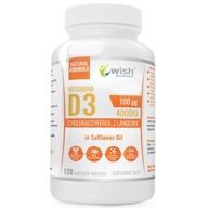 Wish Pharmaceutical Witamina D3 4000IU 100mcg kapsułki miękkie 120 szt