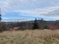 Działka, Nowa Ruda, Kłodzki, 1443 m²