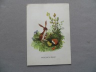 JAN M. SZANCER WESOŁYCH ŚWIĄT ZAJĄCZEK KURCZACZEK WYKLUTY Z PISANKI 1969