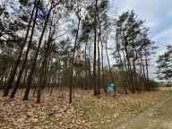 Działka, Romanów, Rzgów, Łódzki wschodni, 1370 m²