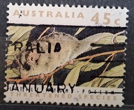 Australia luzak kas - 22/3 ssaki