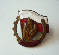 ZPH Związek Harcerstwa Polskiego CZUWAJ odznaka duża (2)