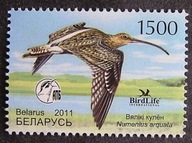 Białoruś - Mi 849 - Kulik Wielki