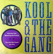 Kool & The Gang – You Are The Meaning Of Friend - 7" - EX