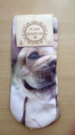 skarpetki 3D dog