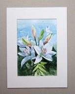 Obraz akwarela Lilia Tsarenko Oryginał