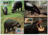 04-MC78- Liberia,WWF,1984- Hipopotany