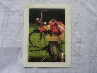 ROWER KOSZYK Z KWIATAMI