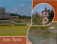 Repty Śląskie Mozaika