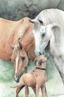 Koń , konie - akwarela z passe - partout
