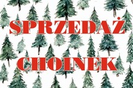 BANER PLANDEKA SPRZEDAŻ CHOINEK CHOINKA 100x50 C25A