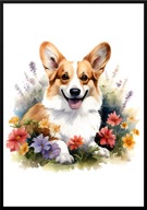 A2 PLAKAT PIES W KWIATACH RASA WELSH CORGI