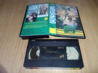 Miasto żab - ULTRA UNIKAT