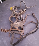 Uprząż końska wojskowa Księstwo Warszawskie?