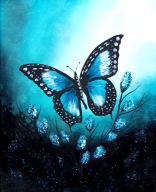 Obraz motyl 30x24 / 75 Patryk Mit