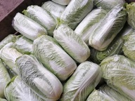 Kapusta pekińska 20szt eko prosto od rolnika polskiego