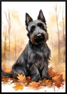 A2 59,4x42 PLAKAT OBRAZ PIES TERRIER TERIER SZKOCKI JESIEŃ AKWARELA