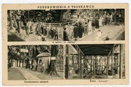 TRUSKAWIEC - POZDROWIENIA Z TRUSKAWCA