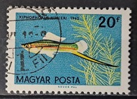 Ryby (kas) - luzak - do uzupełnień 13/7