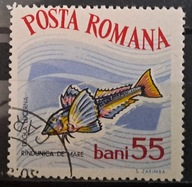 Ryby (kas) - luzak - do uzupełnień 13/6