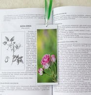 Zakładka do książki - róże