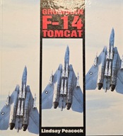 Grumman F-14 Tomcat - Lindsay Peacock