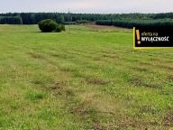 Działka, Celiny, Raków, Kielecki, 35000 m²