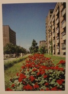 BIAŁYSTOK. Ulica Marii Skłodowskiej - Curie CZYSTA