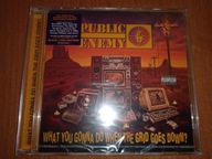 Public Enemy - What You Gonna Do When The Grid Goes Down? FOLIA!!!