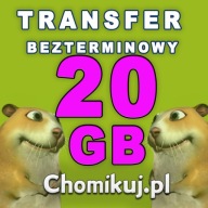 TRANSFER CHOMIKUJ 20 GB - BEZTERMINOWO