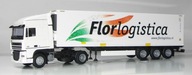 AWM DAF 105 XF z naczepa z kontenerem chlodzonym Florlogistica 45st