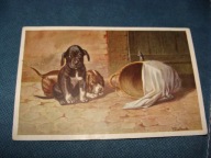 POCZTÓWKA PIESKI ZAPATRZONE W MYSZKĘ 1926 r