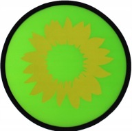 Frisbee dysk ring do rzucania 25 cm wzór losowy