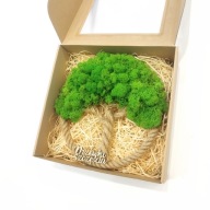 Drzewko Szczęścia Chrobotek, oryginalny prezent na każdą okazję, 30cm