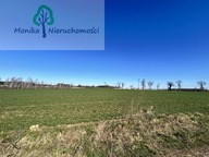 Działka, Turze, Tczew, Tczewski, 1000 m²