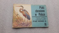 PTAKI CHRONIONE W POLSCE Ptaki wodne cz. 1 - Zygmunt Czarnecki