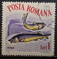 Ryby (kas) - luzak - do uzupełnień 13/5