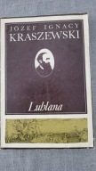 Bracia rywale J.i.Kraszewski