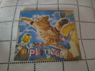 Bobina – #Uplifting