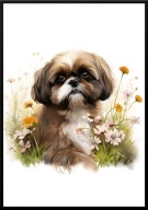 A2 PLAKAT PIES W KWIATACH RASA SHI TZU