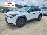 Toyota RAV4 Woodland Edition, po gradobiciu 2.5 Hybryda 236KM