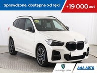 BMW X1 xDrive18d, Salon Polska, Serwis ASO, 4X4