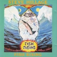 STEVE HILLAGE Fish Rising CD 1975 Gong prog/space/rock 1 wydanie.