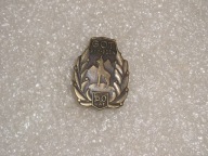 ODZNAKA PTTK PTT GOT 50 LAT