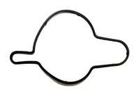 Uszczelka O-ring obudowy pompy oleju WSM 008-599-14 Sea Doo 1503 GTX RXP